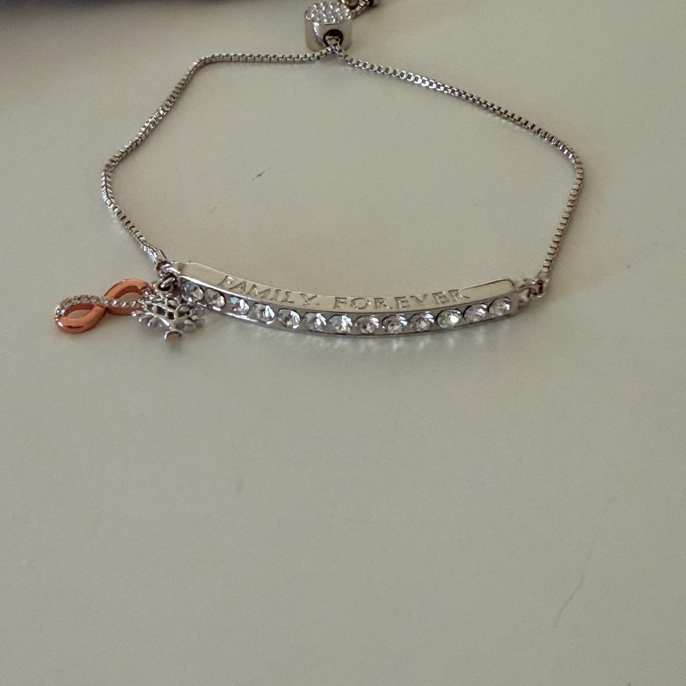 Brilliance Silver Plated "Family Forever" Double Charm Bracelet